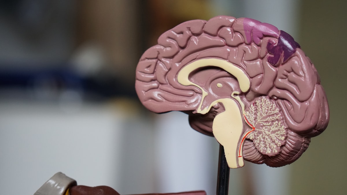 CPAP vs BiPAP: Which Therapy Is Right For You?